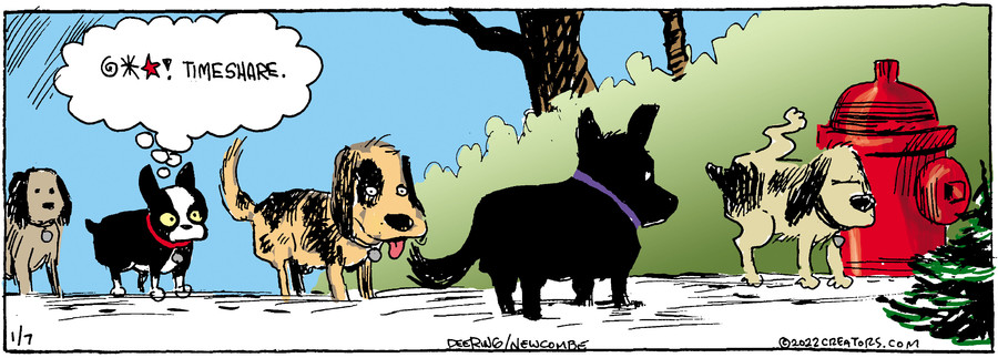 Zack Hill for Jan 07, 2022