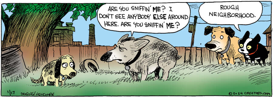 Zack Hill for Jan 17, 2024