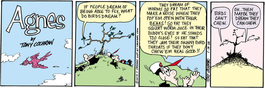 Agnes for Jan 19, 2025