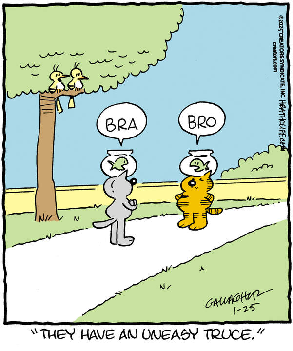 Heathcliff for Jan 25, 2025