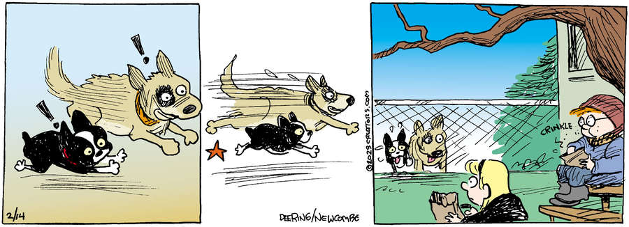 Zack Hill for Feb 14, 2023