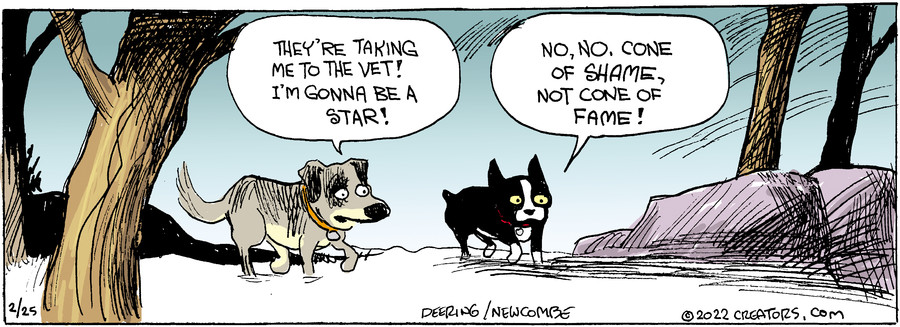 Zack Hill for Feb 25, 2022