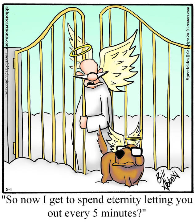 Spectickles for Mar 01, 2025