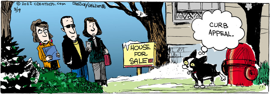 Zack Hill for Mar 19, 2022