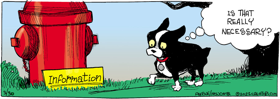 Zack Hill for Mar 30, 2022