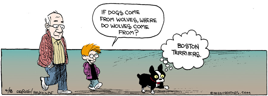 Zack Hill for Apr 08, 2022