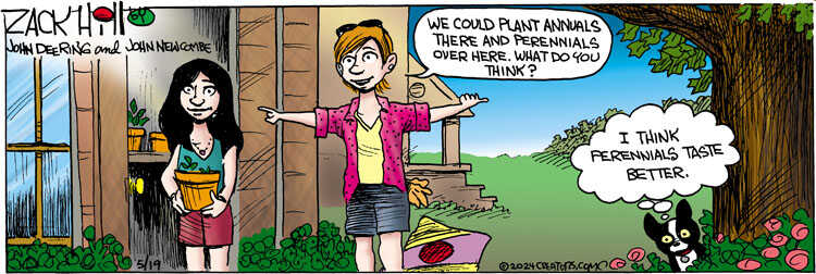 Zack Hill for May 19, 2024