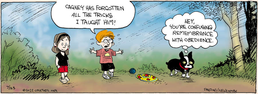 Zack Hill for Jul 23, 2022