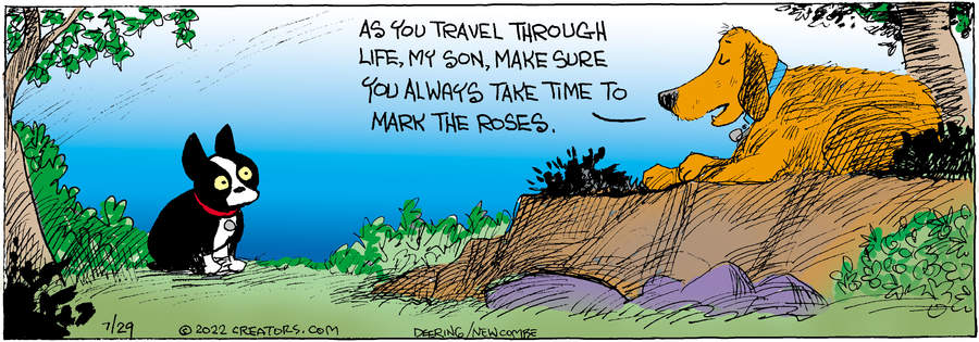 Zack Hill for Jul 29, 2022