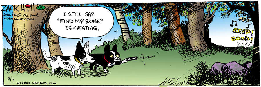 Zack Hill for Aug 07, 2022