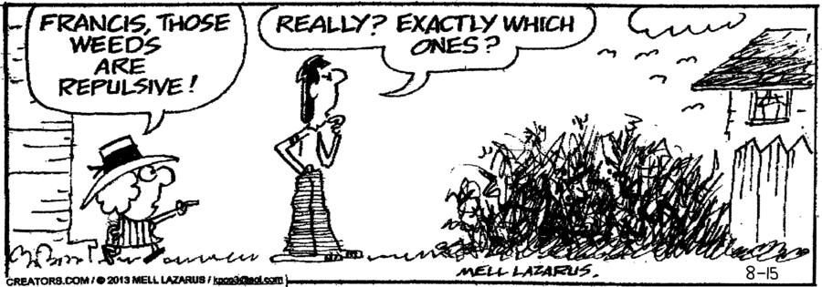 Momma for Aug 15, 2024