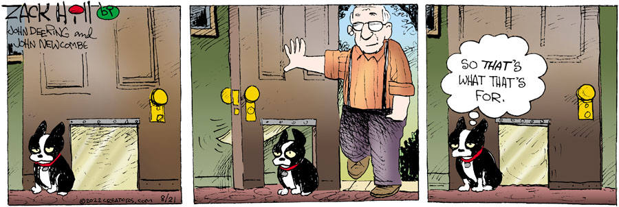 Zack Hill for Aug 21, 2022