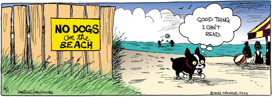 Zack Hill for Sep 01, 2022