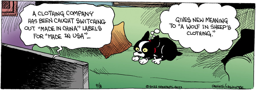 Zack Hill for Sep 08, 2022