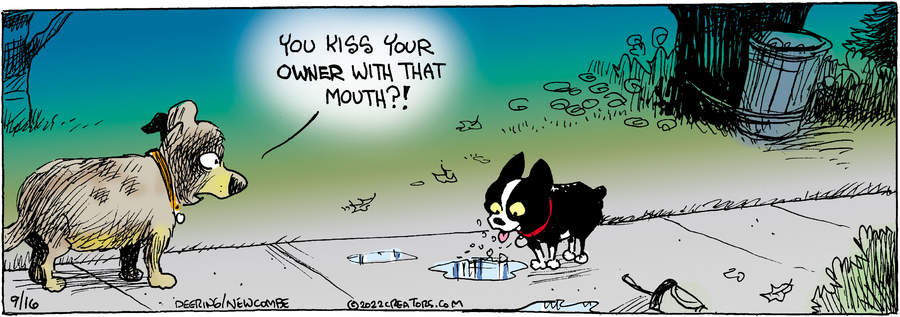 Zack Hill for Sep 16, 2022