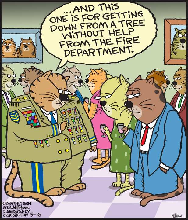 Free Range for Sep 16, 2024