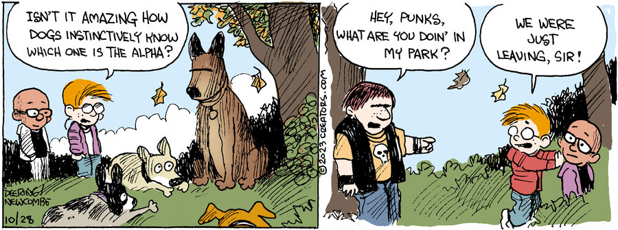 Zack Hill for Oct 28, 2023