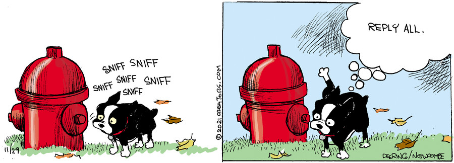 Zack Hill for Nov 29, 2021