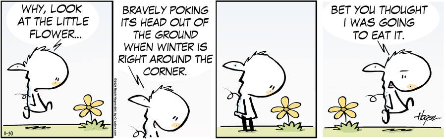 The Barn for Nov 30, 2024