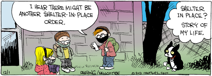 Zack Hill for Dec 01, 2021