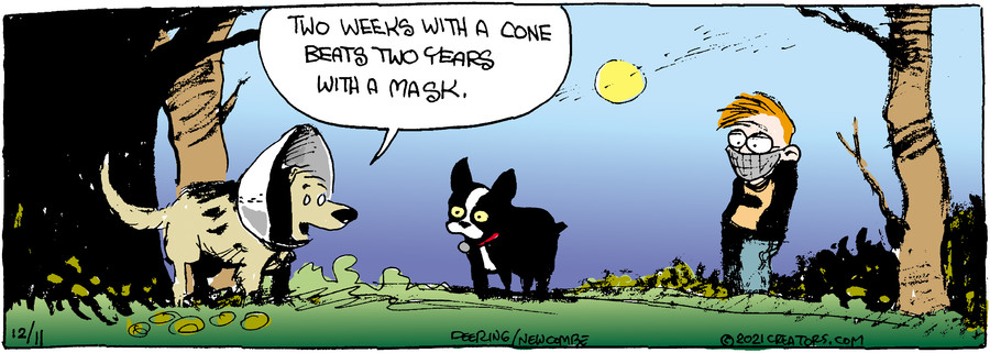 Zack Hill for Dec 11, 2021