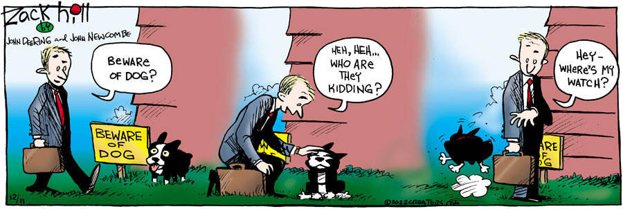 Zack Hill for Dec 11, 2022