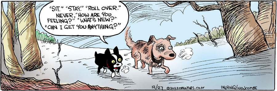 Zack Hill for Dec 27, 2022