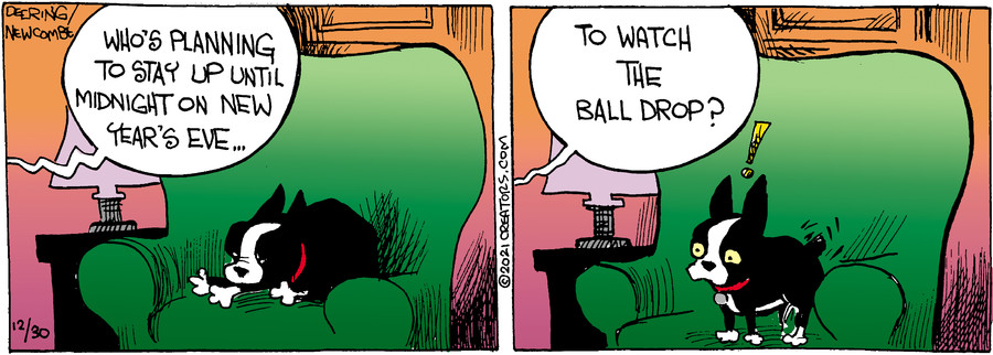 Zack Hill for Dec 30, 2021