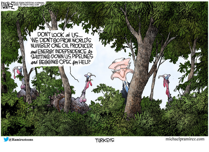 Michael Ramirez for Nov 26, 2021