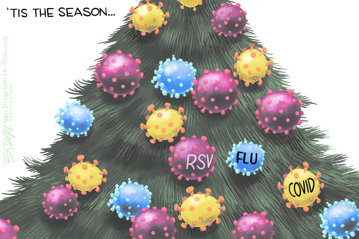 Steve Breen for Nov 27, 2022