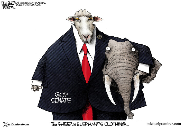 Michael Ramirez for Jan 29, 2025