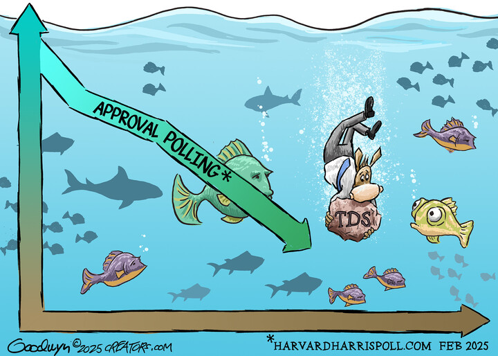 Al Goodwyn for Feb 26, 2025