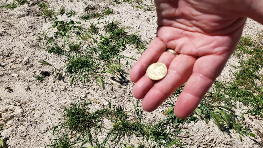 Jeff was so excited to find a 20 shekel coin.