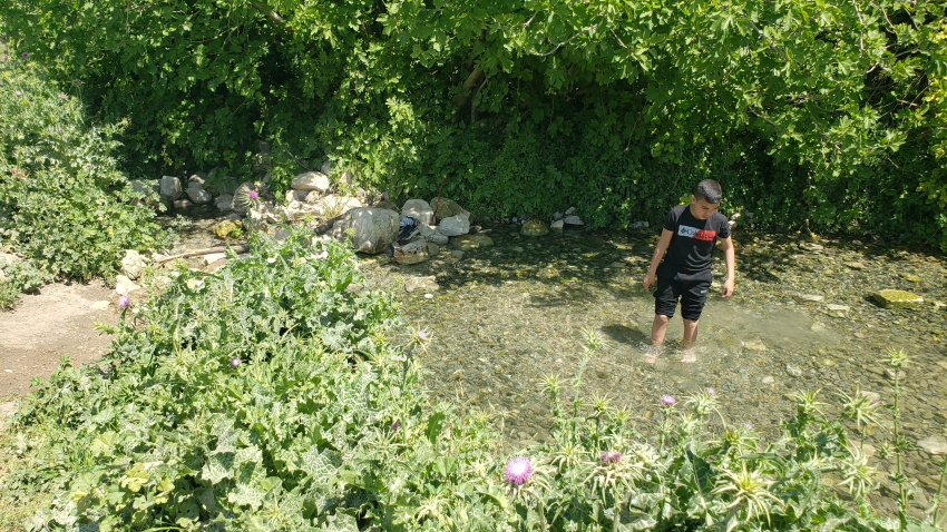The son filled up the bottles as this spring bubbled up from underground. Jesus surely drank from this spring as he traveled from Nazareth to Lake Galilee.