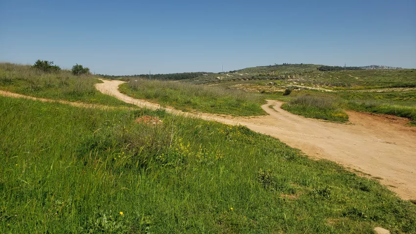 Three different possible ways to go. Quite confusing.