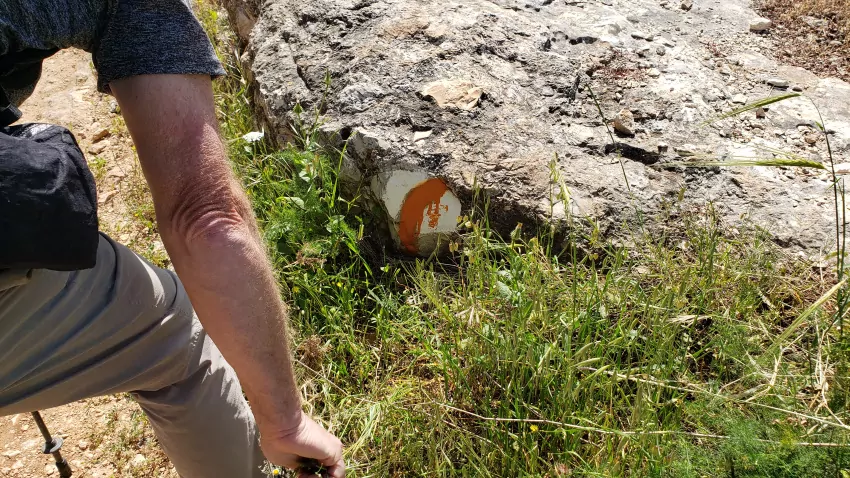 Here's a trail marker indicating a right turn.