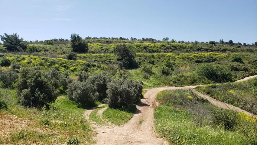 Which way? Thank goodness for GPS