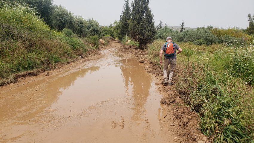 Mud from irrigation. Jeff picked the wrong side.