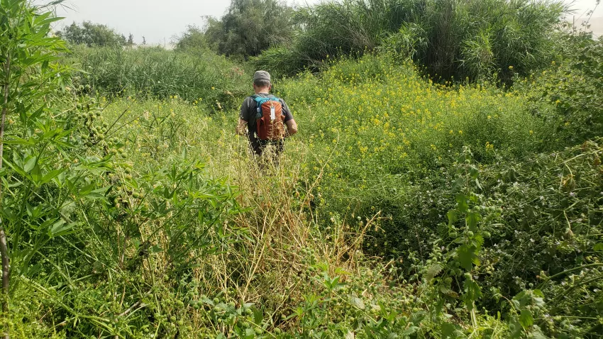 "Follow me to the Jesus Trail."