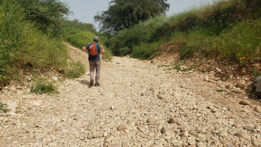 "Just around the corner, Wyatt!"