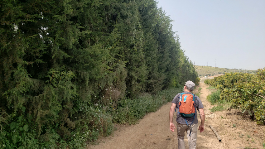 "It's this way Wyatt!"