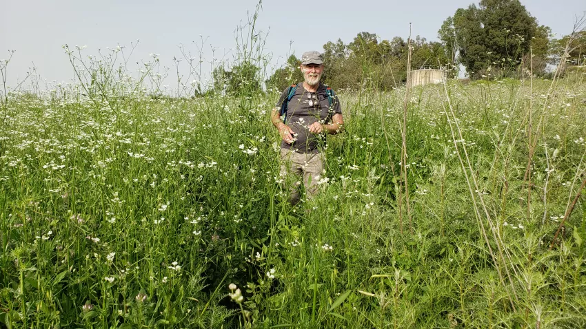 Jeff lost in the weeds yet again.