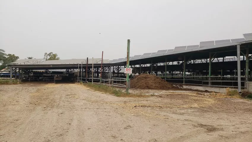 Unfortunately, Ein Gev has a huge stockade which we could smell the minute you get off the bus.