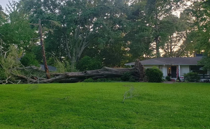 Thank goodness it didn't fall on the house!