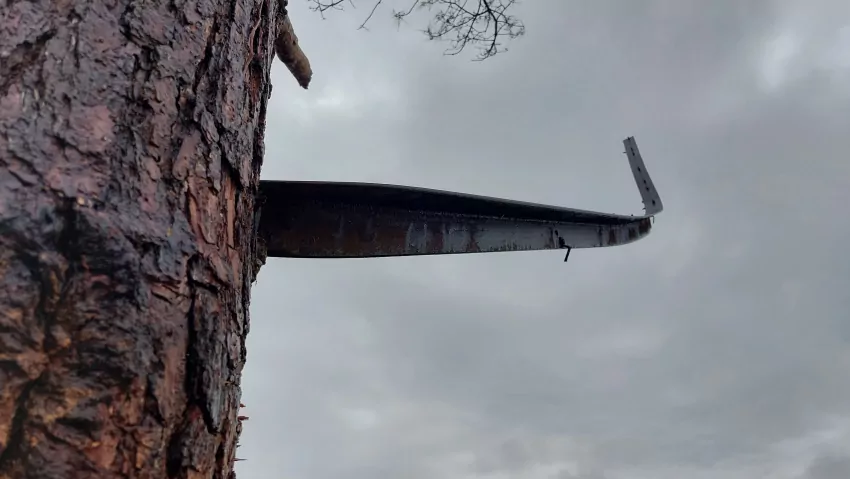This metal shaft pierced a pine trip. That's some wind. 