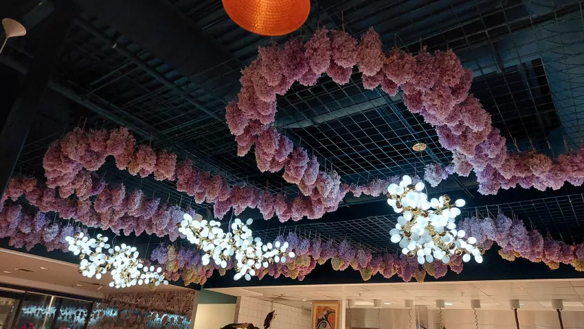 I'm guessing these are not real. 