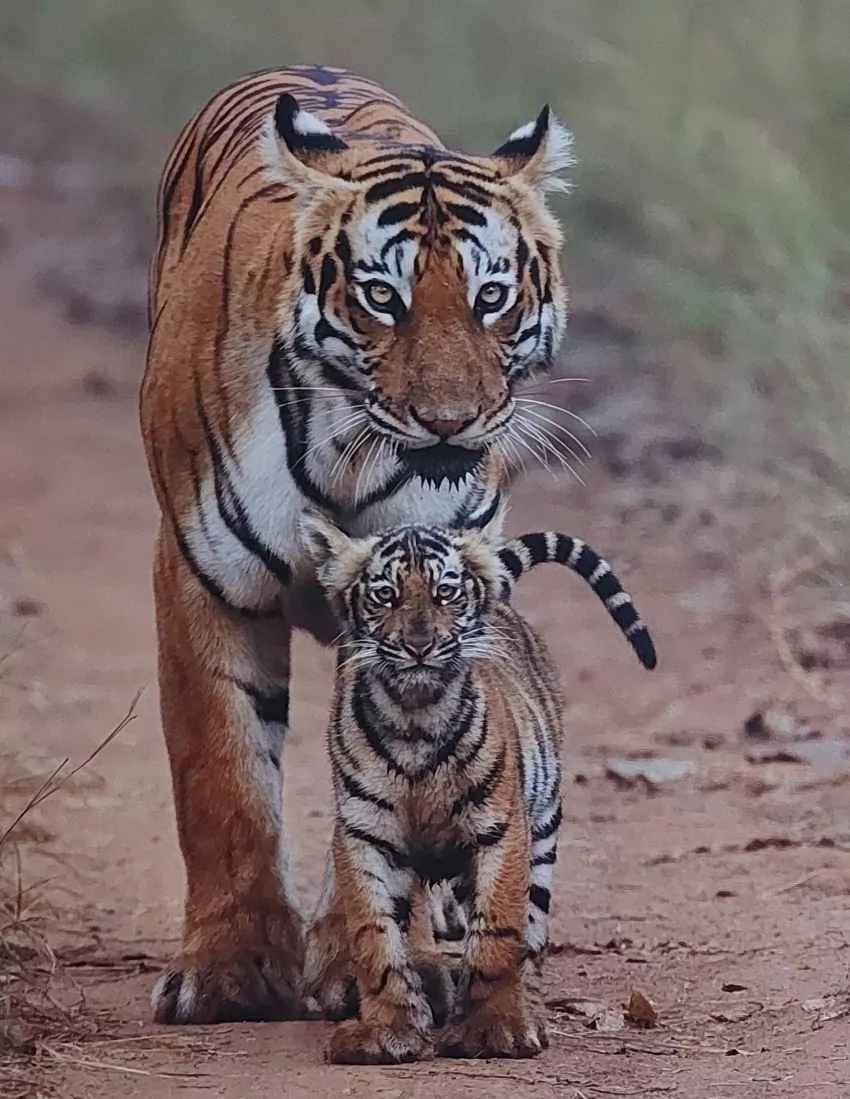 Ok. I took this off the wall of the cabin. 