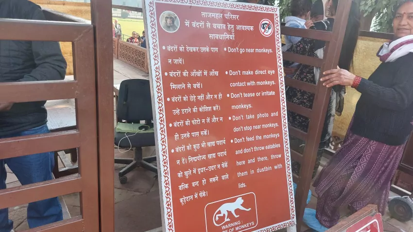 Instructions on monkey-human interactions. 