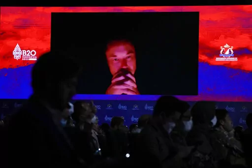 Tesla CEO Elon Musk talks during a virtual meeting at the B20 Summit ahead of the G20 leaders summit in Nusa Dua, Bali, Indonesia, Monday, Nov. 14, 2022. (AP Photo/Aaron Favila)