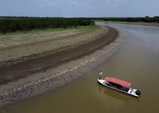 A fisherman stands on his boat as he navigates near thousands of dead fish awash on the banks of Piranha Lake due to a severe drought in the state of Amazonas, in Manacapuru, Brazil, Wednesday, Sept. 27, 2023. (AP Photo/Edmar Barros)